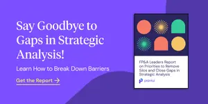 Say goodbye to gaps in strategic analysis with our ebook on FP&A collaboration.